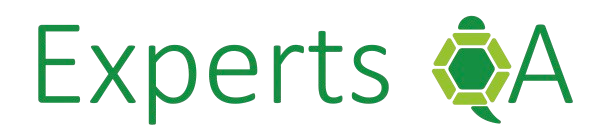 Experts QA Logo